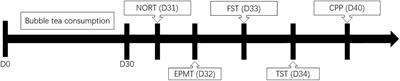 Effects of chronic bubble tea administration on behavior and cognition in C57BL/6 mice